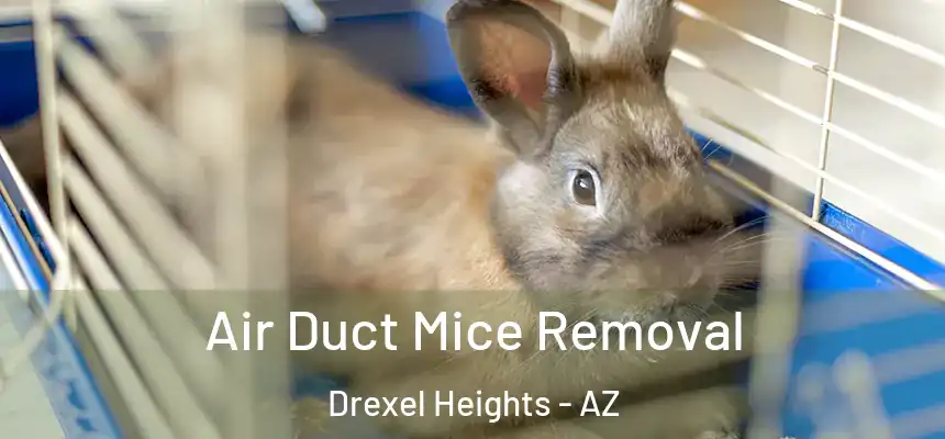 Air Duct Mice Removal Drexel Heights - AZ