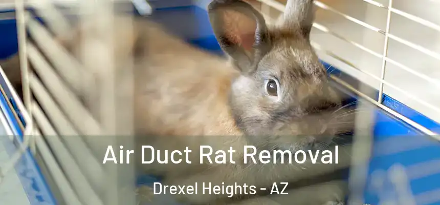 Air Duct Rat Removal Drexel Heights - AZ