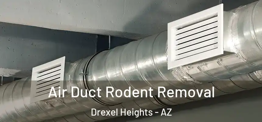 Air Duct Rodent Removal Drexel Heights - AZ
