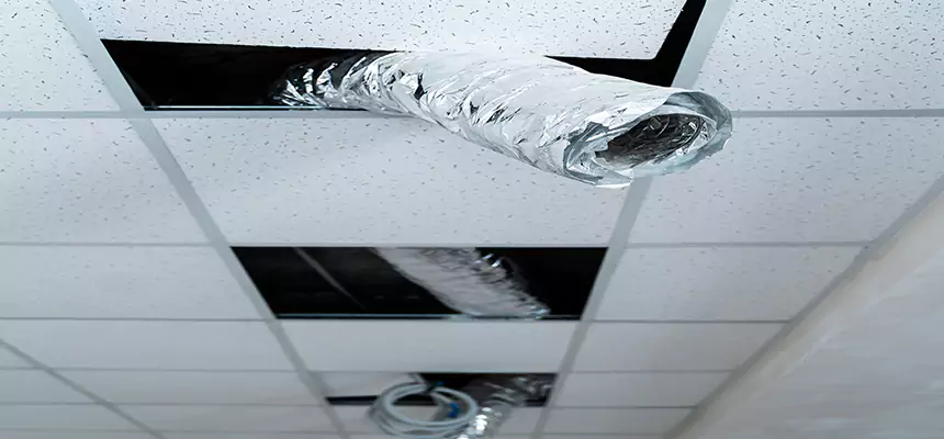 Our Air Duct Pet Hair Removal Services in Drexel Heights, AZ