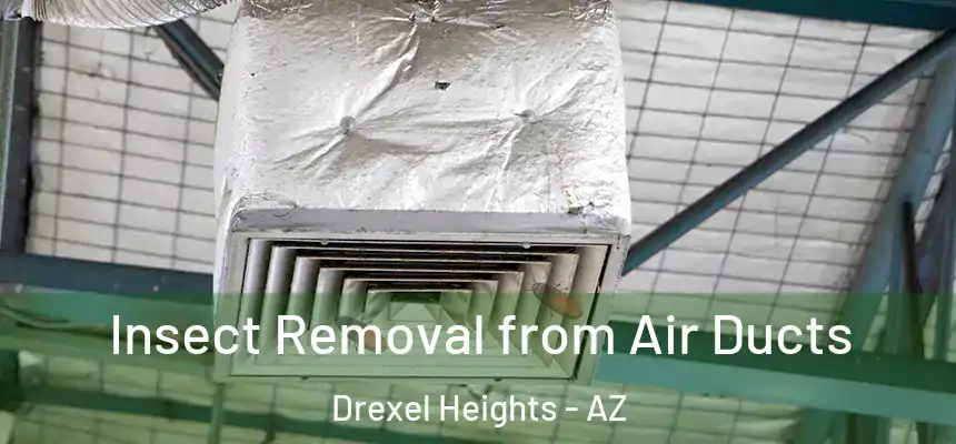 Insect Removal from Air Ducts Drexel Heights - AZ