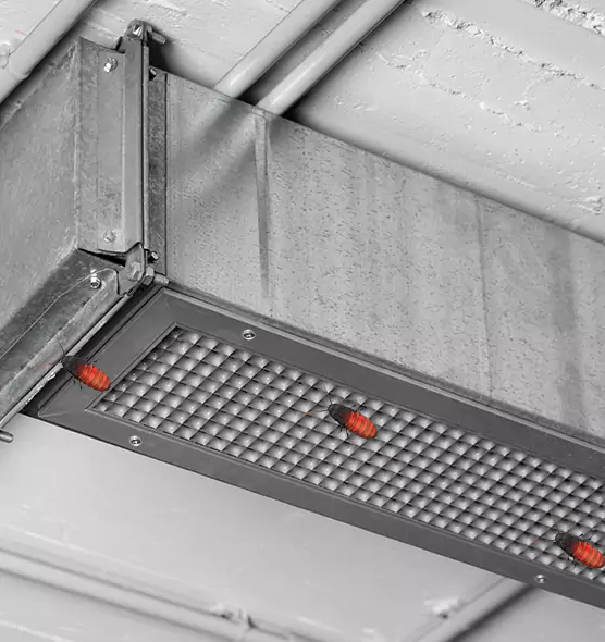 About Air Duct Cockroach Removal in Drexel Heights, AZ