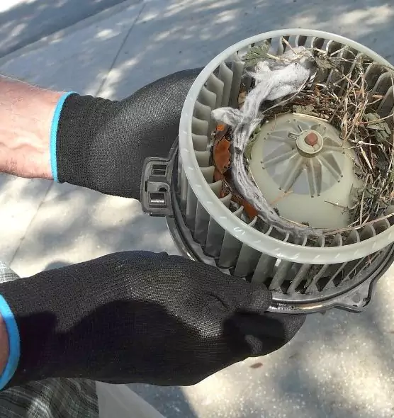 About Air Duct Rat Removal in Drexel Heights, AZ