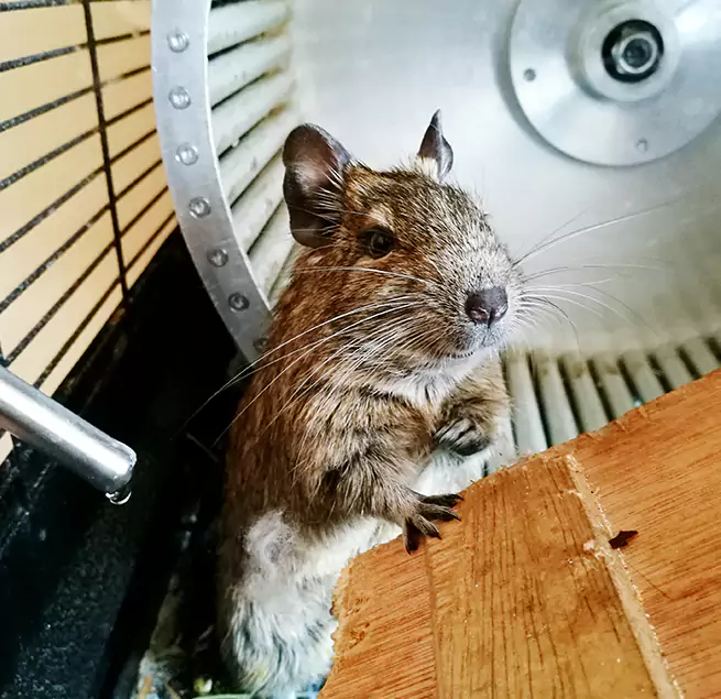 Why Homeowners & Businesses Trust Us Drexel Heights, AZ