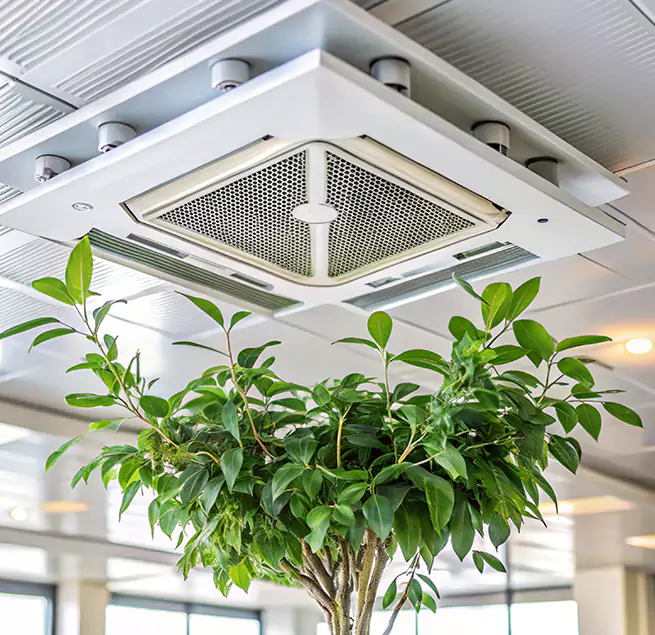 Why Homeowners & Businesses Trust Us in Drexel Heights, AZ